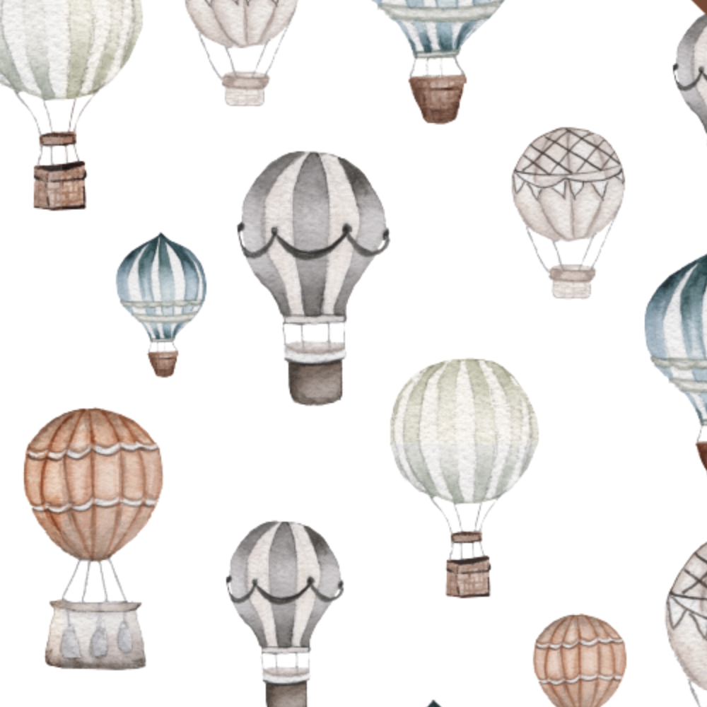 Hot Air Balloons