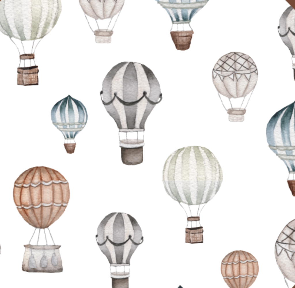 Hot Air Balloons